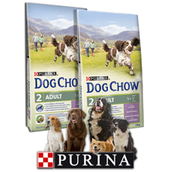 Purina Dog Chow