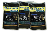 Pro Plan Puppy Large Robust